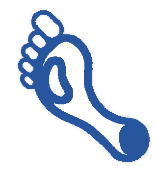 Cardiology Icon