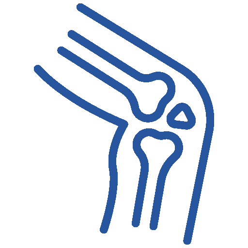 Cardiology Icon